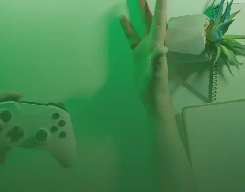 Video Game Localization