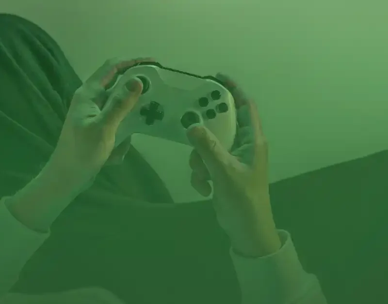 Video Game Localization