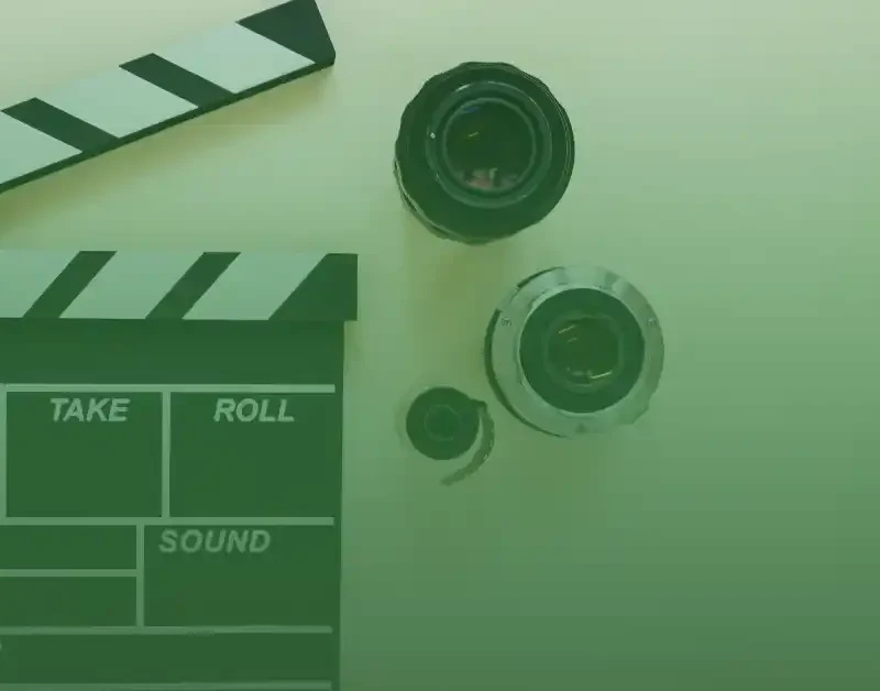 Audiovisual Translation