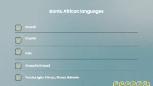 African Languages