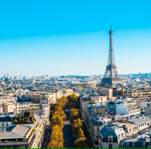 French Translation Services