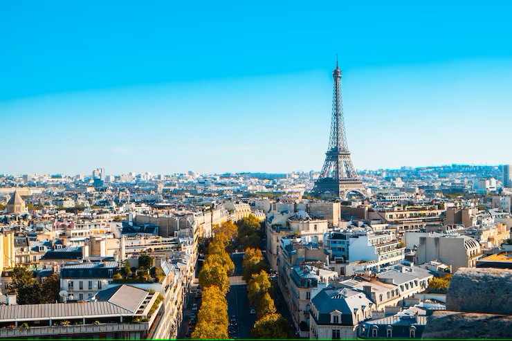 French Translation Services